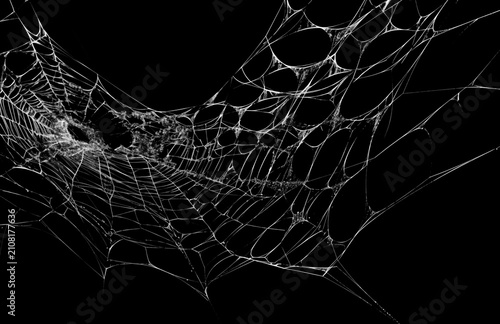 Принти на полотні Realistic spider web overlay on black background, detailed cobweb texture with white silk threads for Halloween design, horror poster, spooky decoration or graphic composition