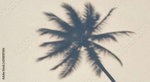 Shadow palm tree cast upon white sandy beach ripples, for tropical relaxation, summer vacations, peaceful solitude, serene essence warm coastal getaway paradise