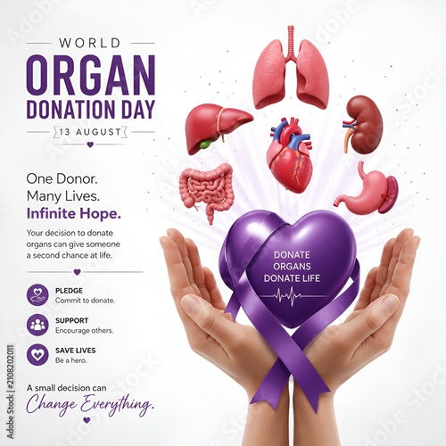 World organ donation day concept with human hands holding floating human organs and a purple heart ribbon representing life saving gift, donation