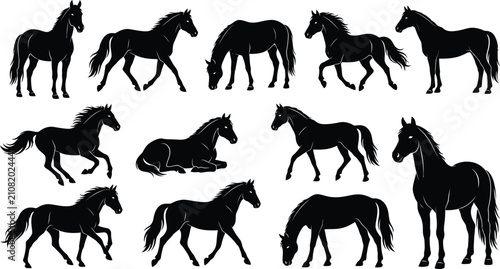 Canvastavla Collection of horse silhouettes in standing, running, grazing, and resting poses