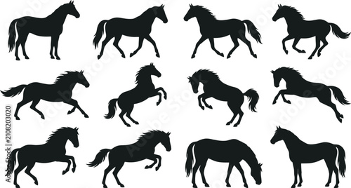 Canvastavla Collection of horse silhouettes in standing, running, rearing, jumping, and graz
