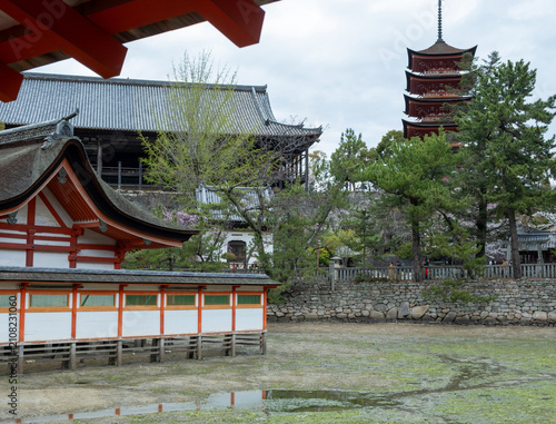 Photography Shinto shrine and five-story pagoda above tidal flat, Hatsukaichi, Japan, spring