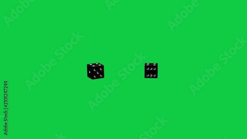 Release sending two black dice tumbling slowing and settling on transparent backdrop showing motion