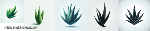 Aloe Vera Silhouette Vector Illustration