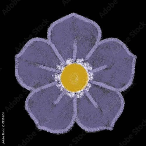 Blue Morning Glory Flower Blooming, Alpha Channel Animation, Transparent Background