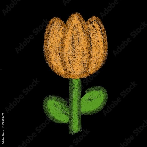 Tulip Flower Blooming, Alpha Channel Transparent Animation