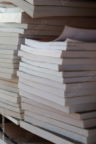 Cuadro en lienzo Stacks of books on a shelf in a library during daytime near a window