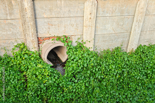 Obraz na plátně An industrial waste water is draining into public sewer, it surrounded by wild green plants