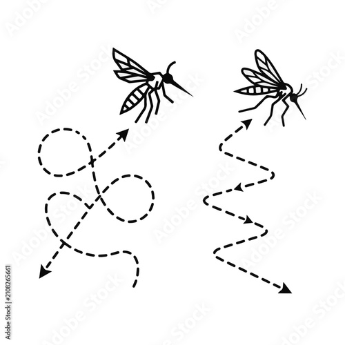 Bild auf Leinwand Mosquitoes Flying with Directional Dotted Path Lines and Arrows