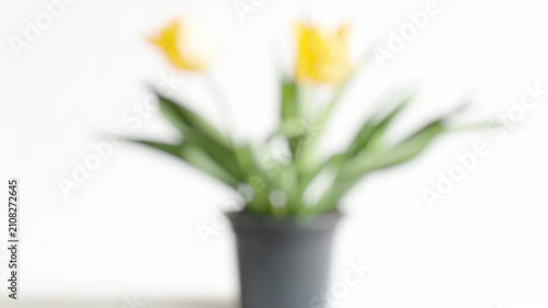 Close-up shot of a plate of food on a table, ideal for use in recipes or culinary articles