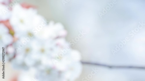A small red bird sits comfortably on the branch of a tree, enjoying its surroundings