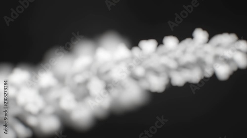 A close-up of a single flower in monochrome tones