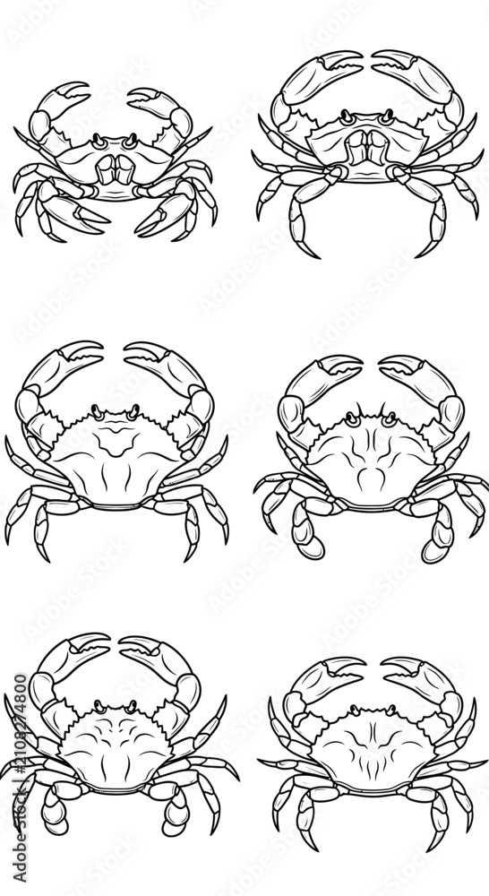Obraz premium Set of Six Detailed Crab Line Art Illustrations