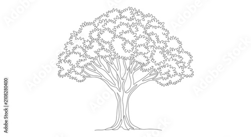 Foto Detailed tree outline with sprawling branches and textured foliage a black and w