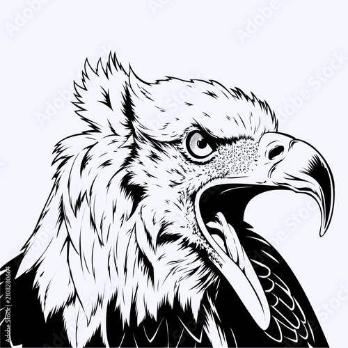 Majestic Eagle Head Roaring Silhouette Vector Illustration Angry Bird of Prey Wildlife Raptor Portrait