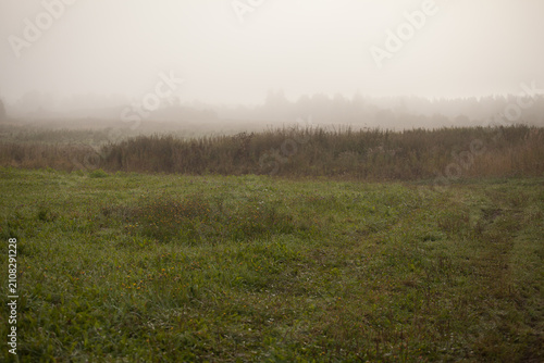Mysterious misty field. Thick morning fog covers autumn grass in green field, horizontal