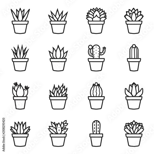 Set of simple succulent and cactus plant icons in pots as black outline drawing for design and web decoration.