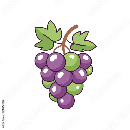 A vibrant illustration of a fresh bunch of purple and green grapes on a vine