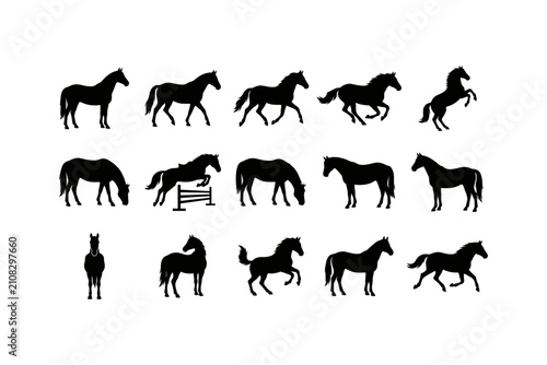 Vászonkép Horse Silhouette Poses Vector Collection for Equestrian Design