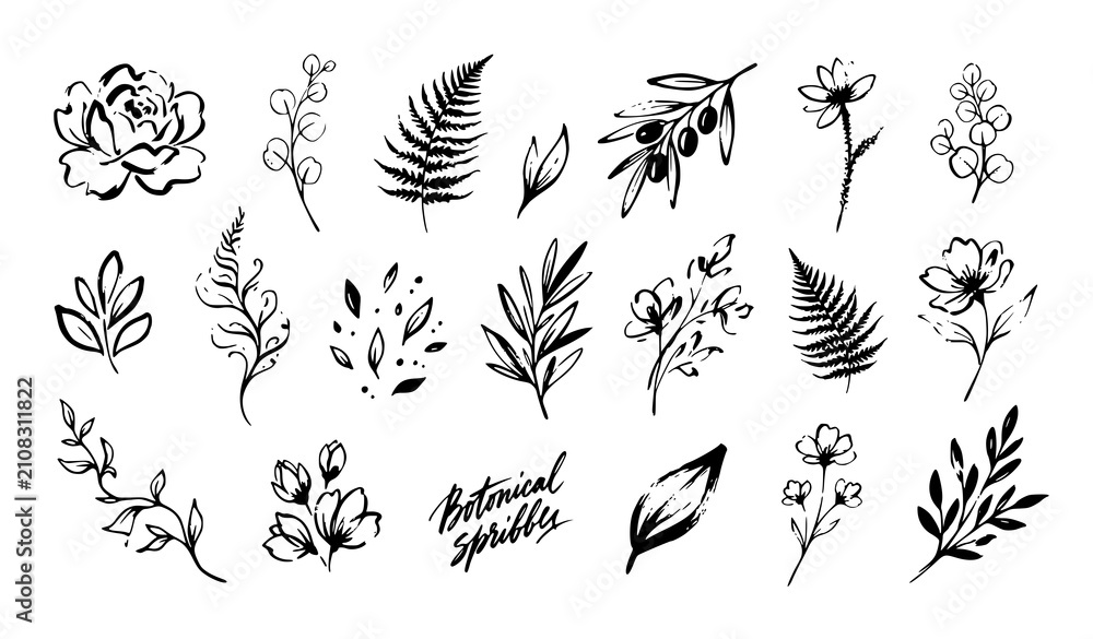 Fototapeta premium Modern Botanical Brush Stroke Flowers and Leaves Hand Drawn Vector Set