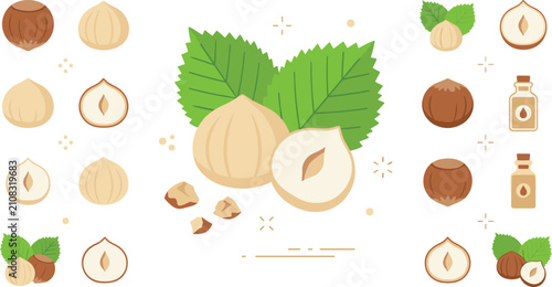 Fotografía Organic hazelnut collection featuring whole hard shells peeled kernels halves green leaves crushed pieces and essential oil bottles isolated vector illustration