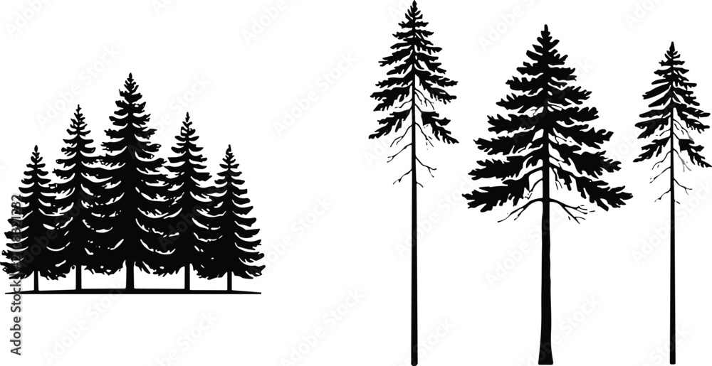 Obraz premium Black Pine Tree Silhouette and Detailed Conifer Vector Set for Minimalist Outdoor Logos, Mountain Branding, and Nature Graphic Designs