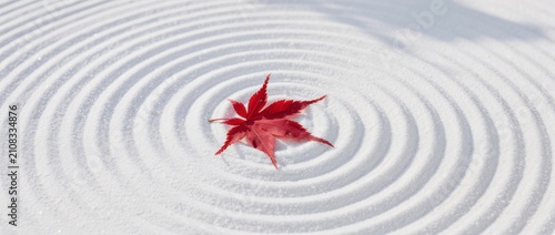 Tranquil Zen Garden with a Single Red Maple Leaf on Raked White Sand Creating Circular Patterns of Peace and Harmony