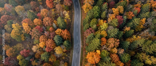 Aerial View of a Winding Road Surrounded by Vibrant Autumn Colors in a Forest of Red, Orange, Yellow, and Green Leaves in Full Fall Splendor