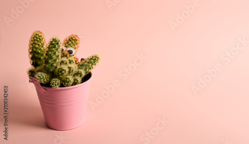 Playful Cactus with Googly Eyes