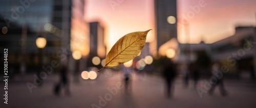 Golden Leaf Floating in Urban Environment at Sunset with Blurred Background and People Walking in the City, Capturing the Beauty of Autumn Nature