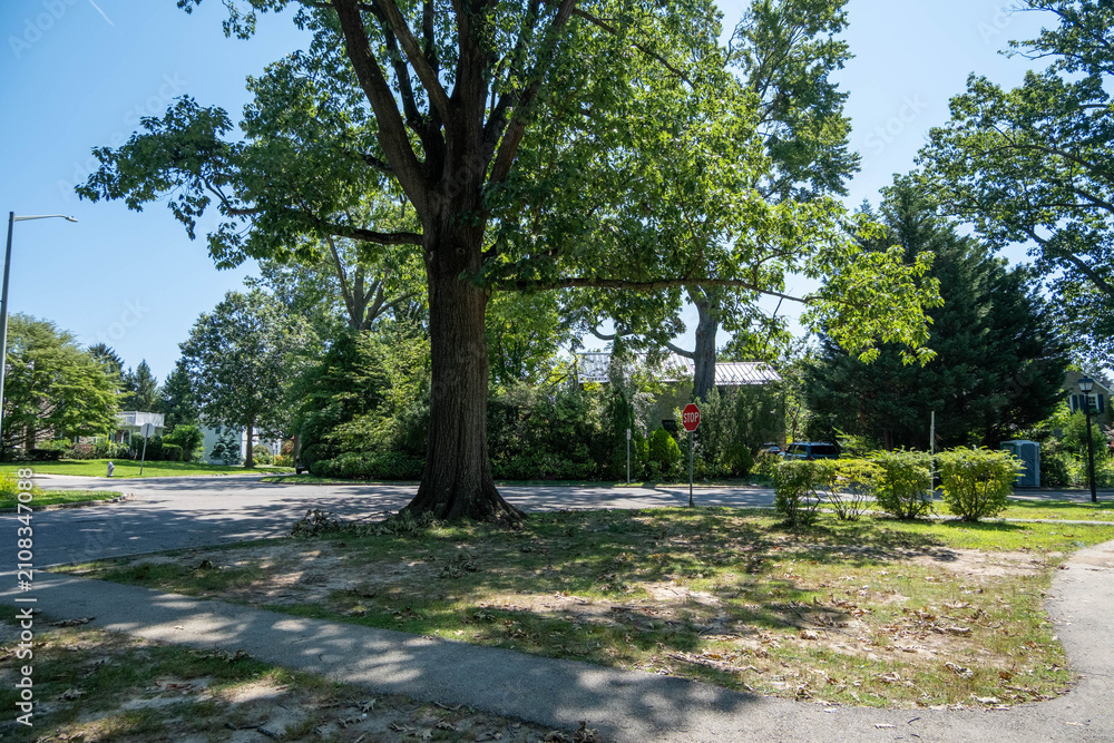 Obraz premium Haverford Park (playground)