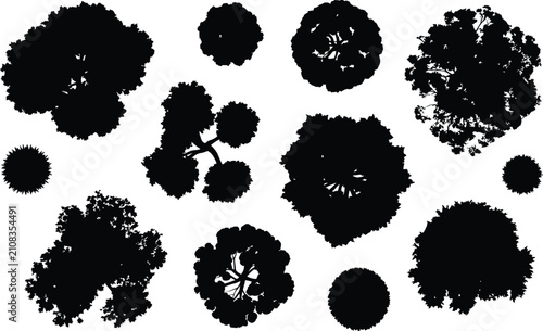 Top down tree silhouettes diverse foliage shapes for landscape design projects