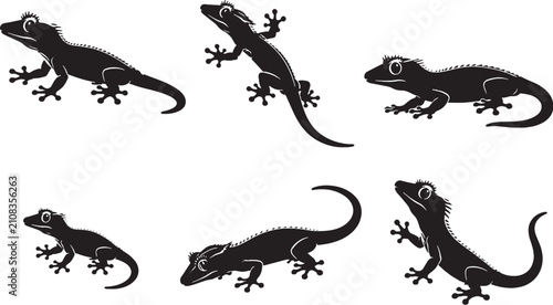 Foto Crested Gecko Silhouette Icon Set Black Vector Arboreal Reptile Collection Isola