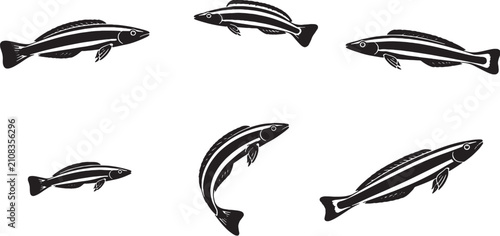 Quadro su tela Cleaner Wrasse Silhouette Icon Set Black Vector Tropical Reef Fish Collection