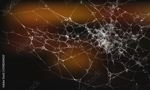 Bilde på lerret Abstract spider web structure over dark orange and black grainy background