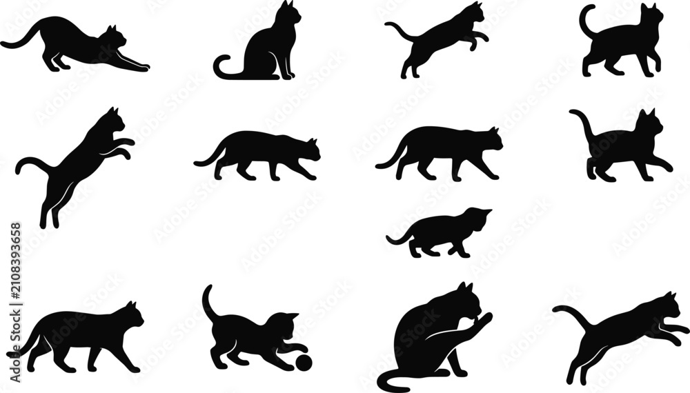 Fototapeta premium Set of black silhouettes featuring various playful cat poses and feline behaviors for creative designs