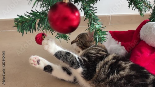 Gatito jugando con bolas del árbol de Navidad
