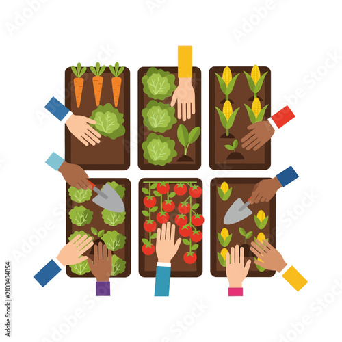 Diverse group of people working together in a community urban garden planting organic vegetables in a minimalist flat vector illustration style