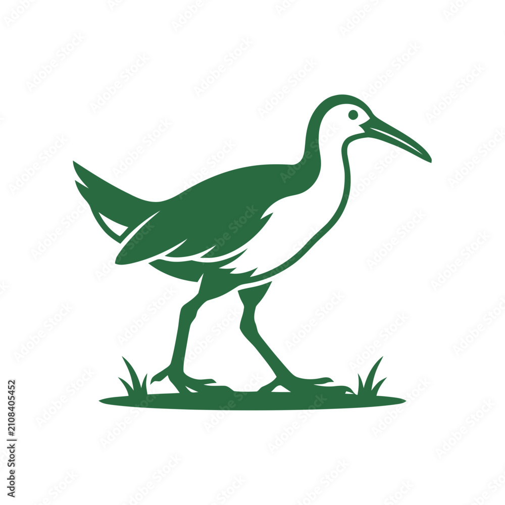 Obraz premium Green Silhouette of a Wading Bird Walking on Grass