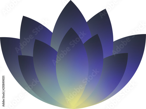 lotus flower vector illustration
