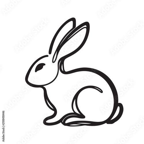 vector illustration of a rabbit with white background