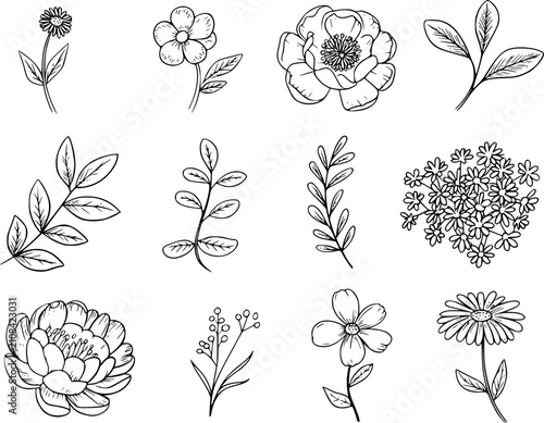 Принти на полотні Una colección de florales y botánicos dibujados a mano con varias flores, hojas