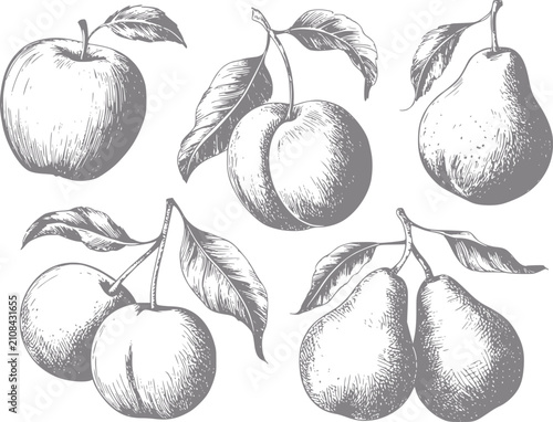 Canvastavla Vintage de manzanas, peras y ciruelas con hojas