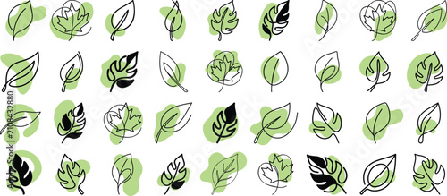 Set of leaves in line art design with abstract organic shapes behind