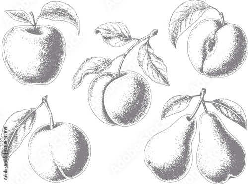 Foto Estilo vintage de frutas variadas sobre fondo blanco