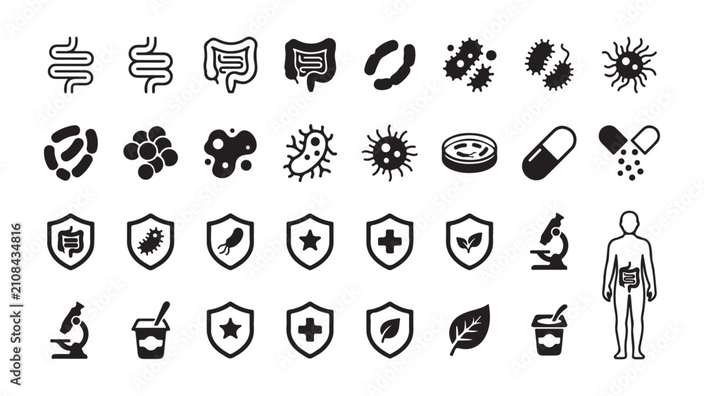 Fototapeta premium Human Digestive System, Gut Microbiome, and Immune Protection Icons Set