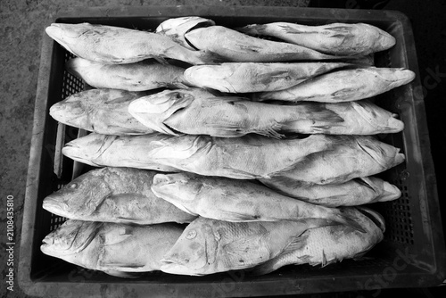 Fotografia rows of fish neatly lined up for sale at the traditional fish market