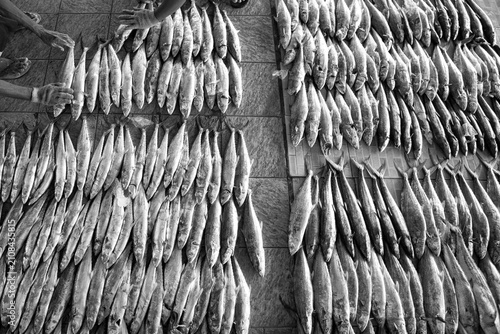 Billede på lærred rows of fish neatly lined up for sale at the traditional fish market