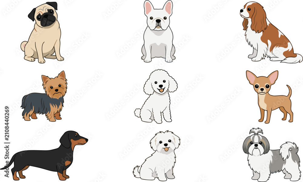 Obraz premium Small Dog Breed Collection with Pug French Bulldog Cavalier Yorkshire Terrier Dachshund Chihuahua Maltese and Shih Tzu Vector Illustration Set