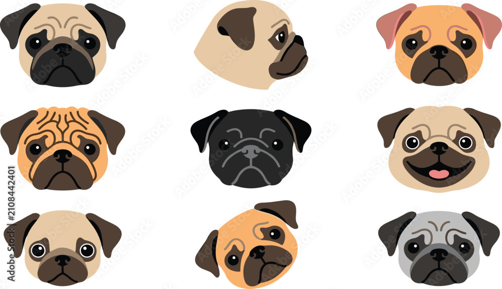 Obraz premium Cute Pug Dog Face Collection with Different Coat Colors Head Poses and Cartoon Puppy Portrait Vector Illustration Set